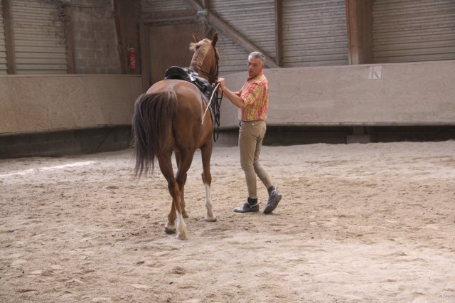 Juin 2010